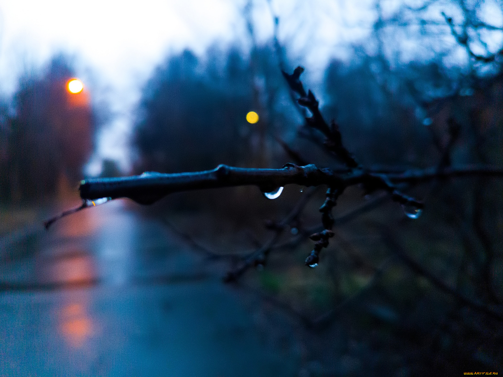 �������, ������, ������, �������, �����, �����, �����, �����